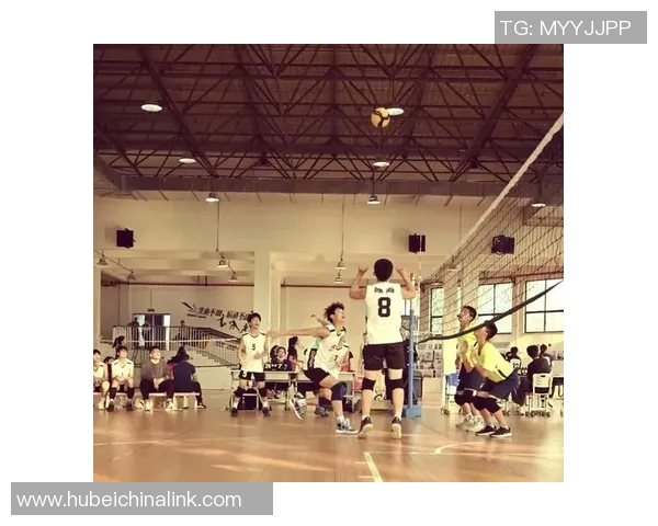 杭州排球队创历史新高展现排球耐力排名的卓越实力与团队精神